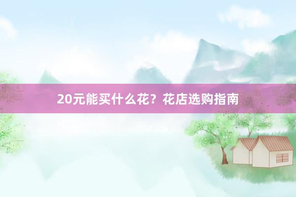 20元能买什么花？花店选购指南