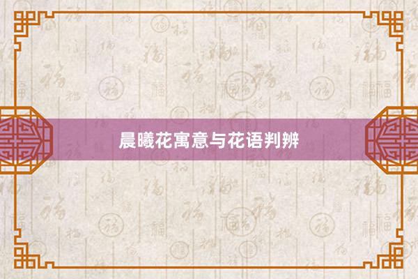 晨曦花寓意与花语判辨