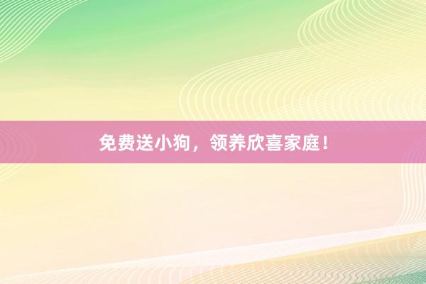 免费送小狗，领养欣喜家庭！